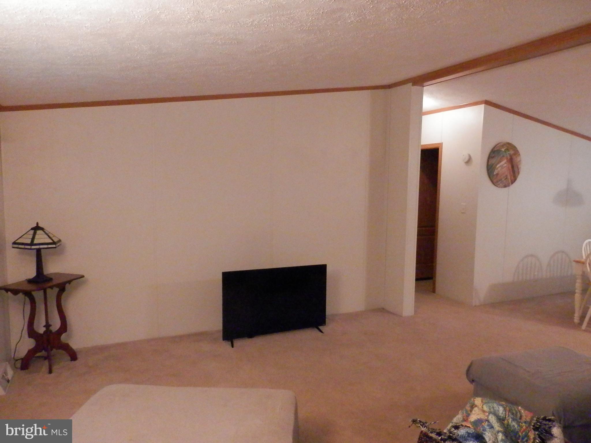 25858 N CHERRY STREET 49858