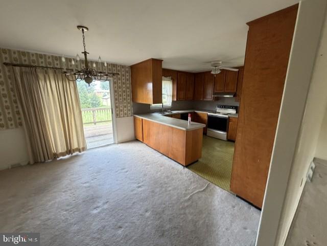17818 DAISY DRIVE