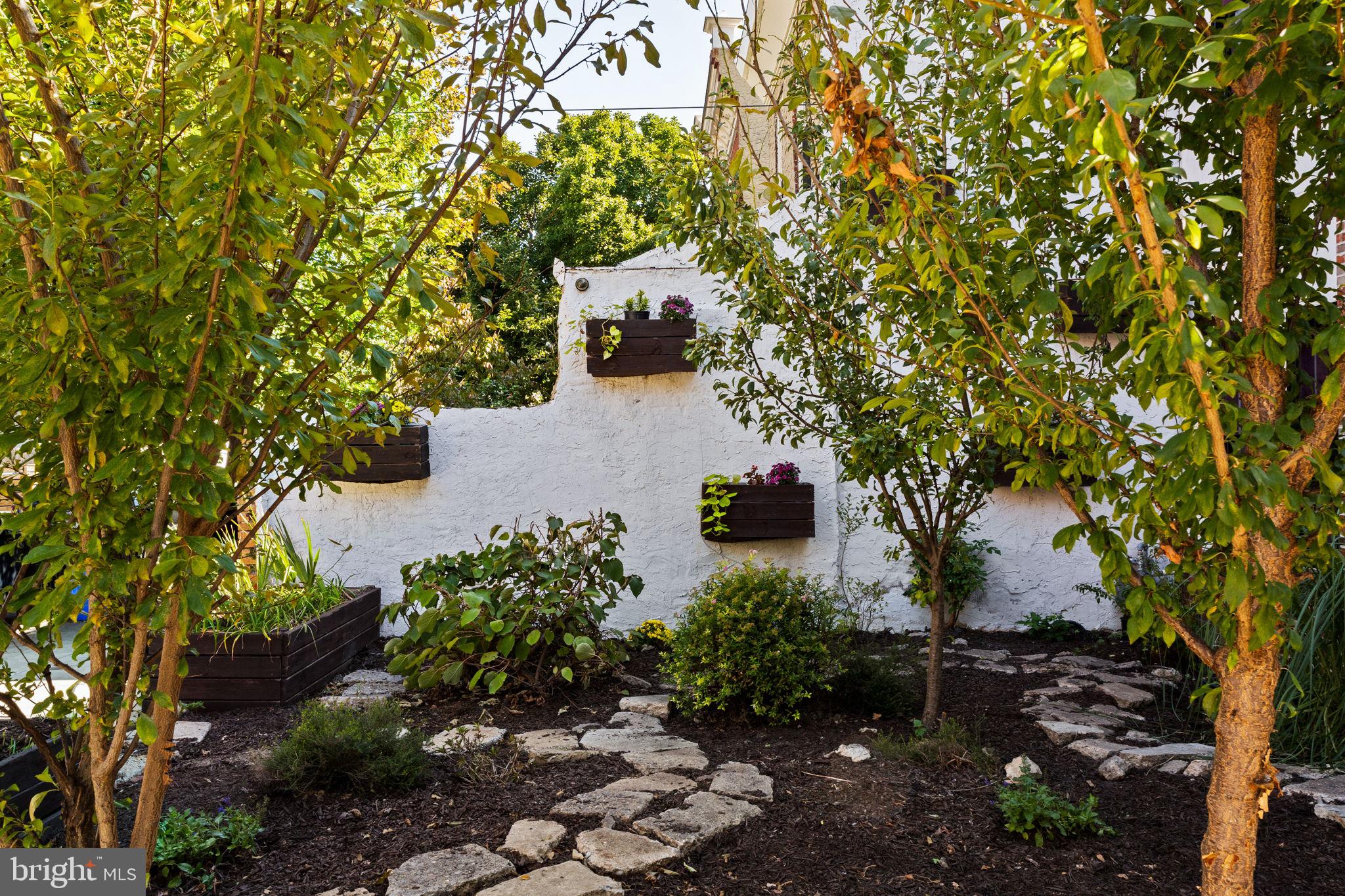 CEDAR PARK - Residential