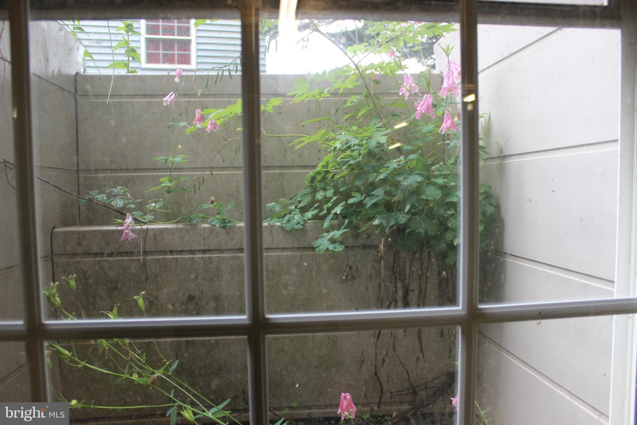 LINCOLNS MEADOW - Residential