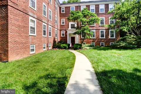 3821 NEWARK STREET NW B440 WASHINGTON DC 20016
