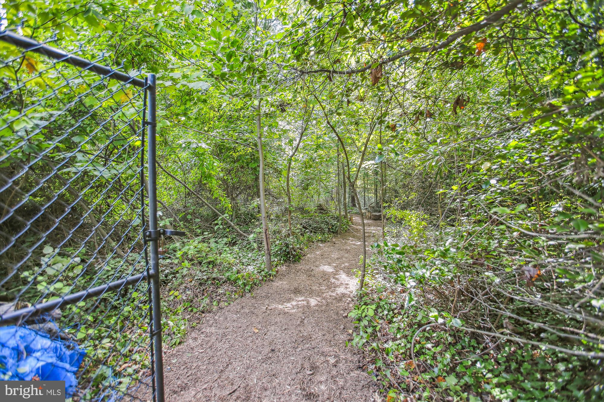 GREAT FALLS/LITTLE FALLS - Residential