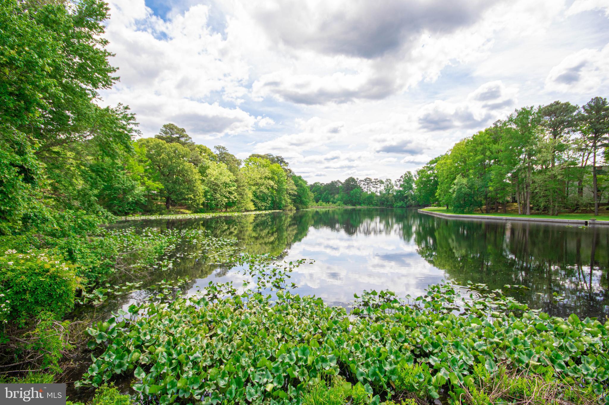 CANAL WOODS CM - Residential