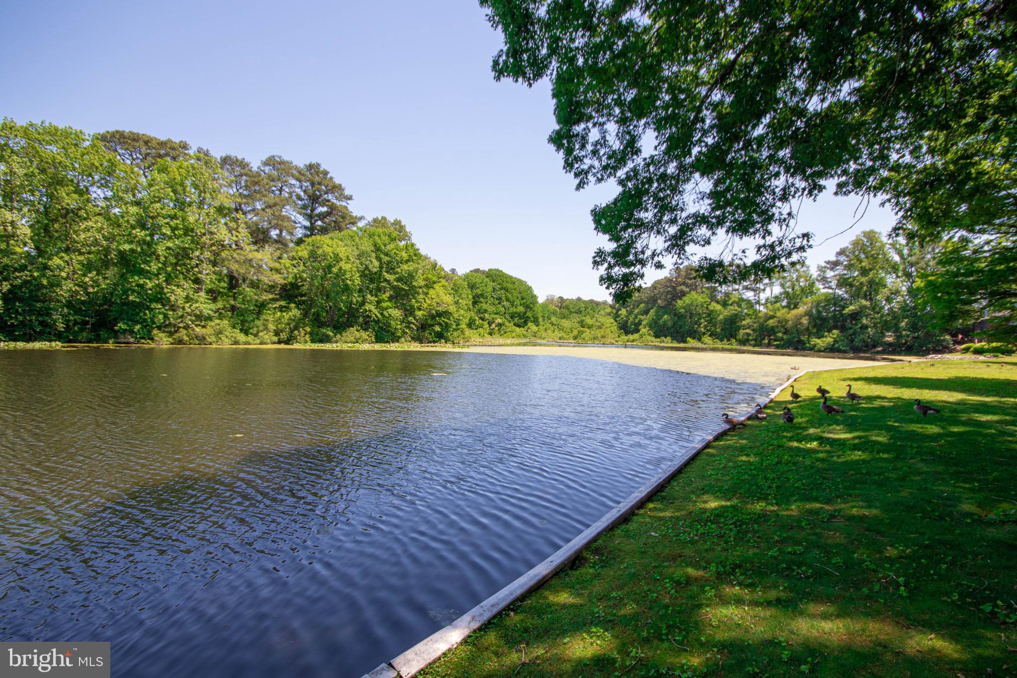 CANAL WOODS CM - Residential