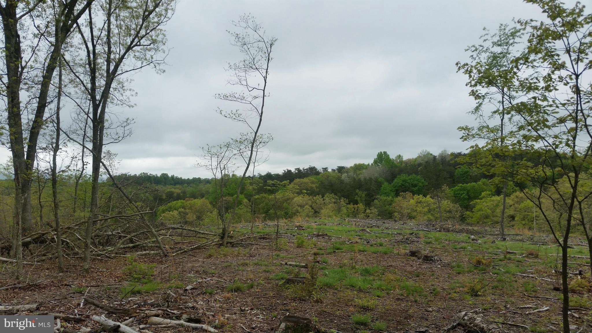 TURKEY RIDGE - Residential