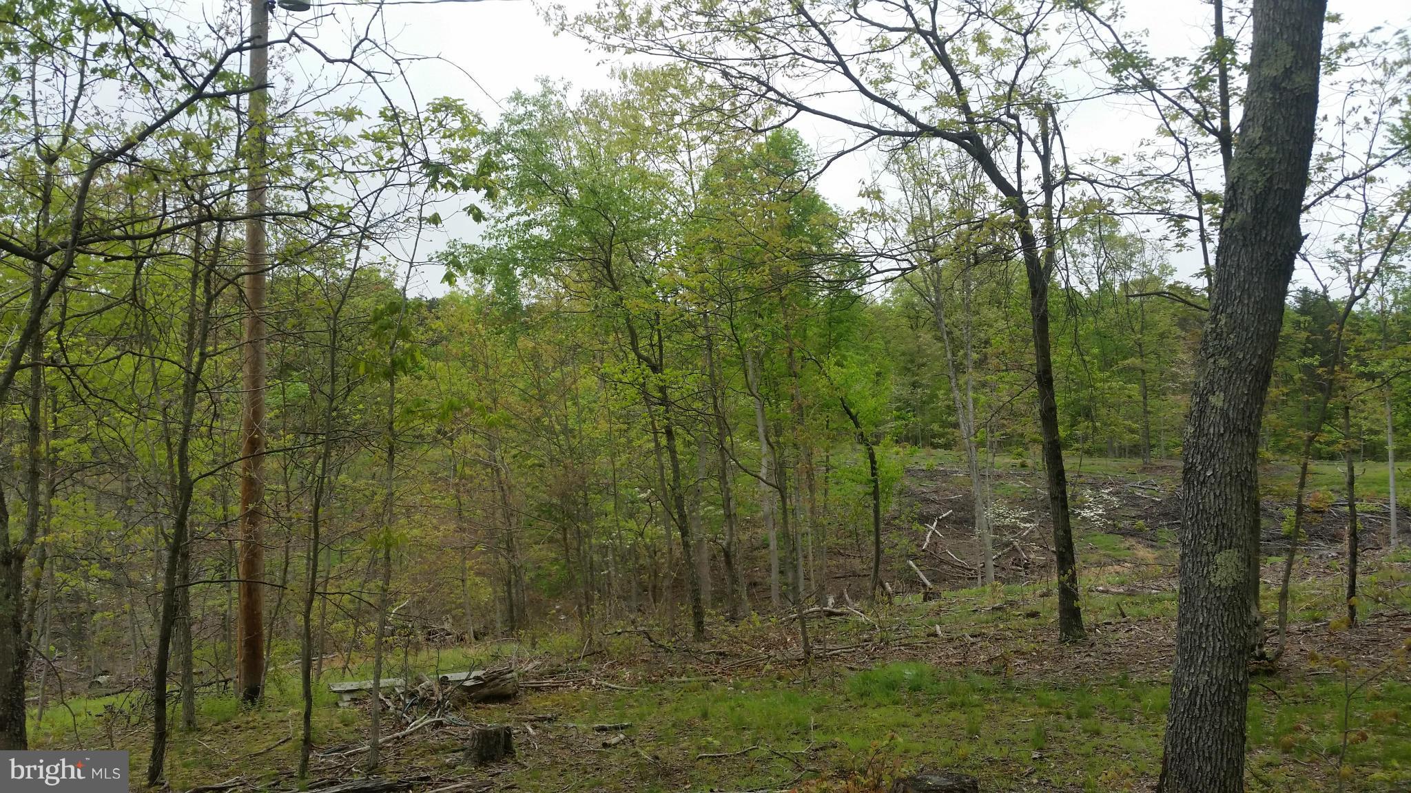 TURKEY RIDGE - Residential