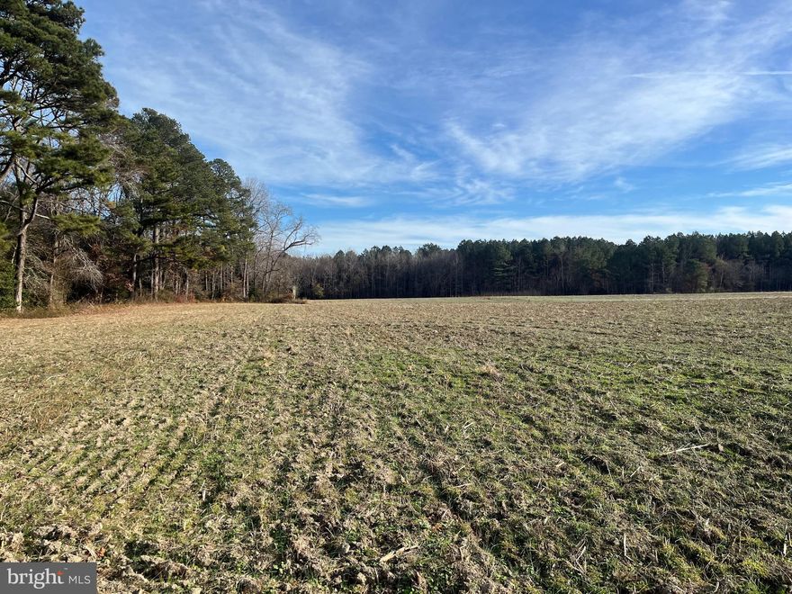 58-acre parcel located between Snow Hill and Public Landing. Partial Farmland (Approximately 14 acres), with the remainder wooded. Upland with Great road access off of Scotland Road. Good drainage with ditches around farmland and through wooded areas. Property has not been Perc. tested but shows good potential (possible building site). Great Hunting location as it connects to other large wooded areas, with Deer, Turkey, and Goose potential. Contact the listing agent or your personal agent to see the property.  DO NOT GO TO THE PROPERTY AND ENTER WITHOUT A SCHEDULED APPOINTMENT, DOING SO IS TRESPASSING, A CRIMINAL OFFENSE. You must have a scheduled appointment through a MD licensed Real Estate agent. Property is hunted during MD Hunting seasons.