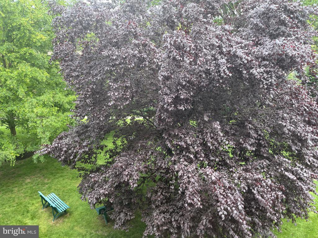 HYDE PARK - Residential