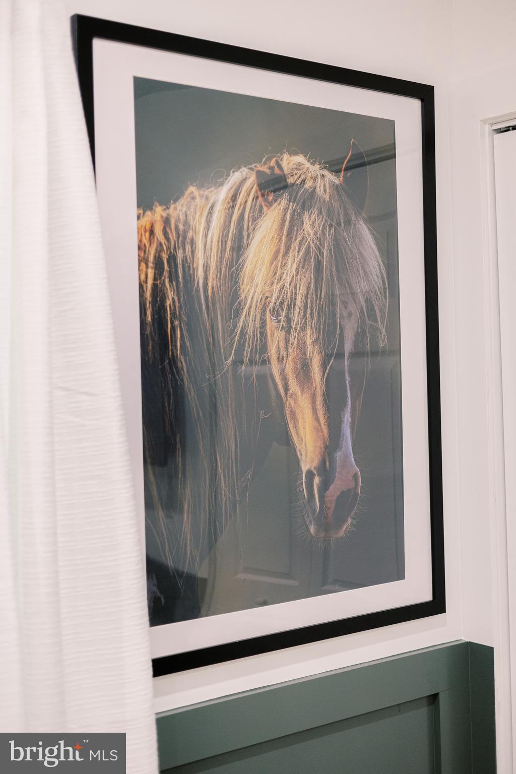 BRYCE  MOUNTAIN - Residential