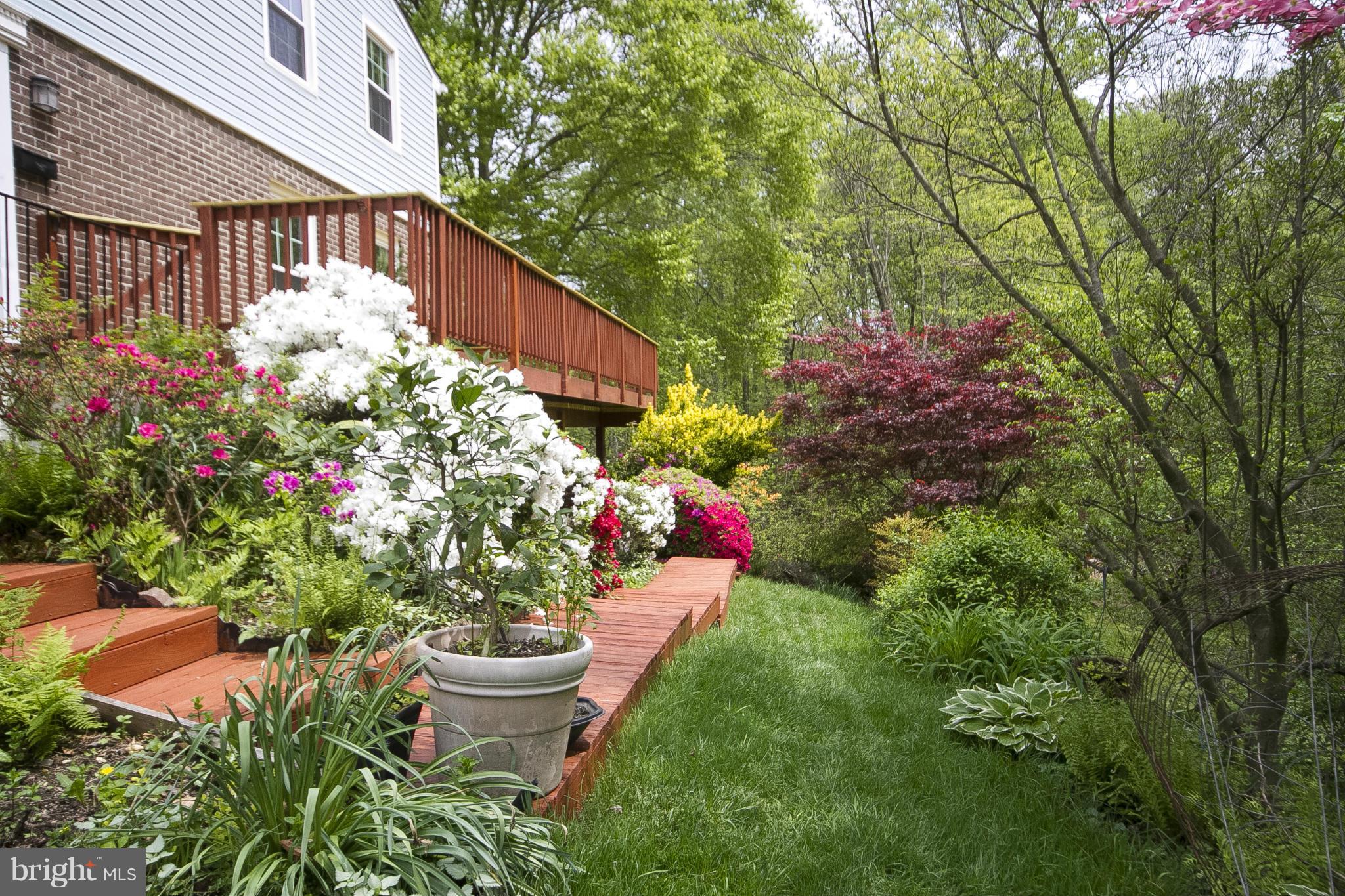 BELMONT SOUTH - Residential