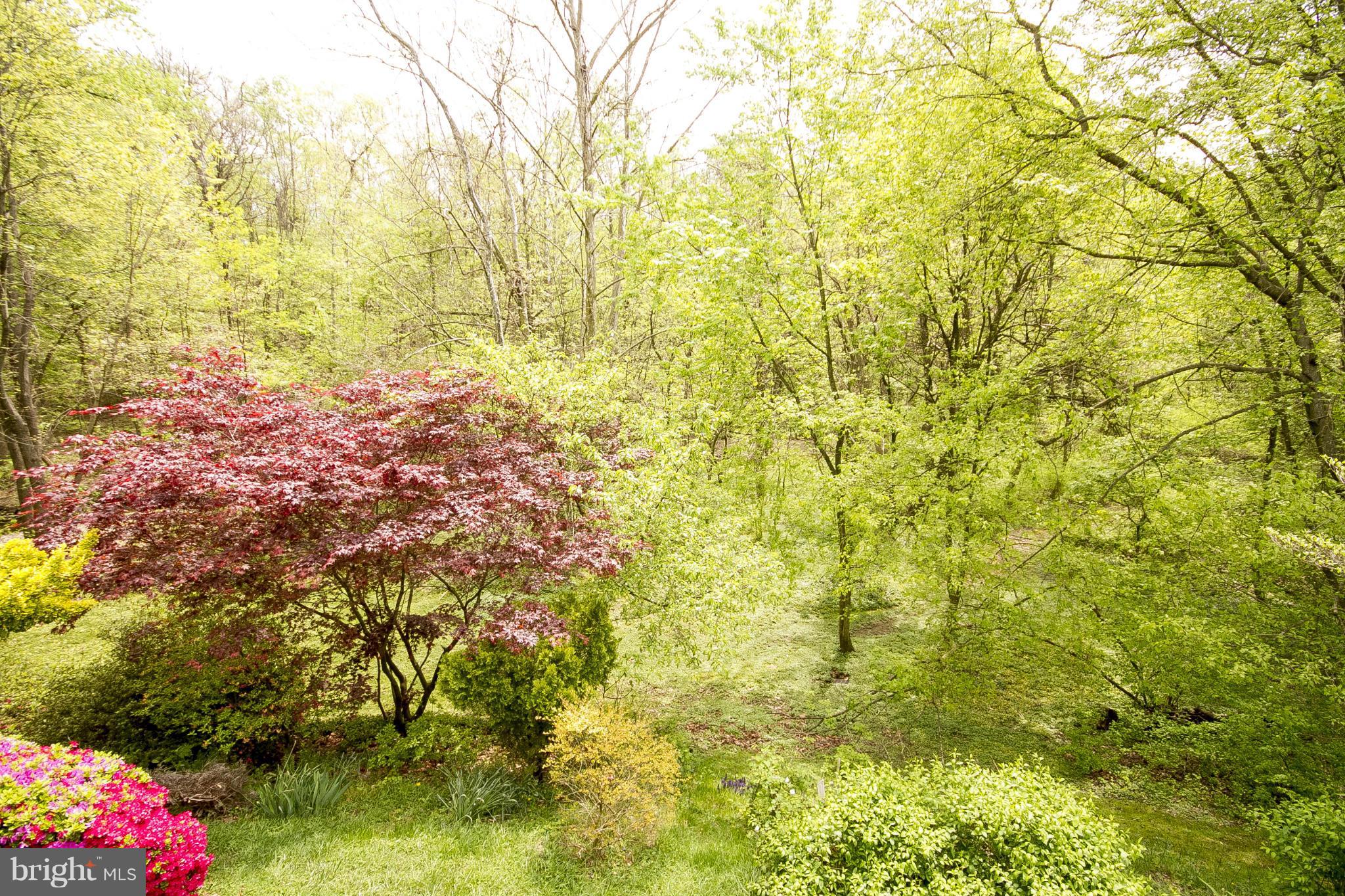 BELMONT SOUTH - Residential