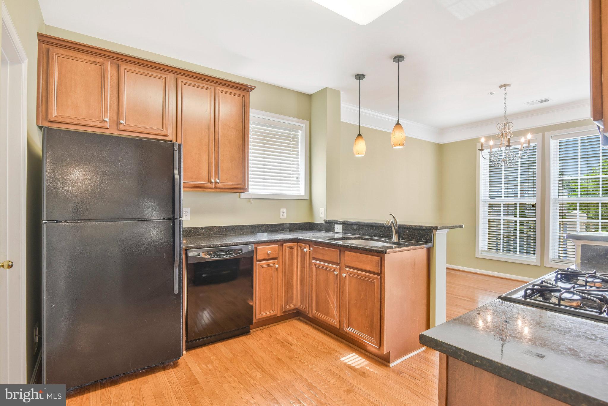 STONE SPRINGS CONDOMINIUMS - Residential