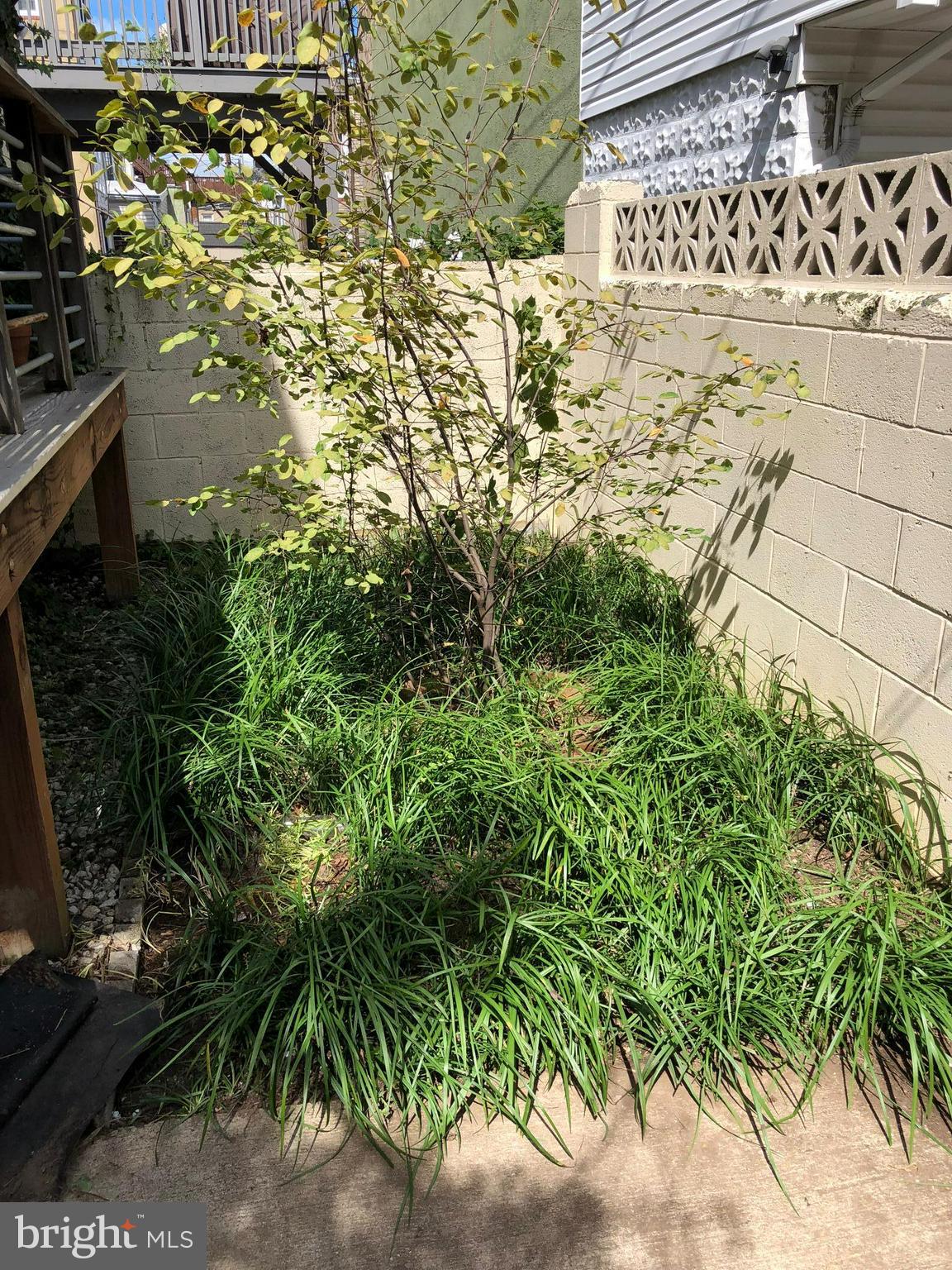 FEDERAL HILL HISTORIC DISTRICT - Residential Lease