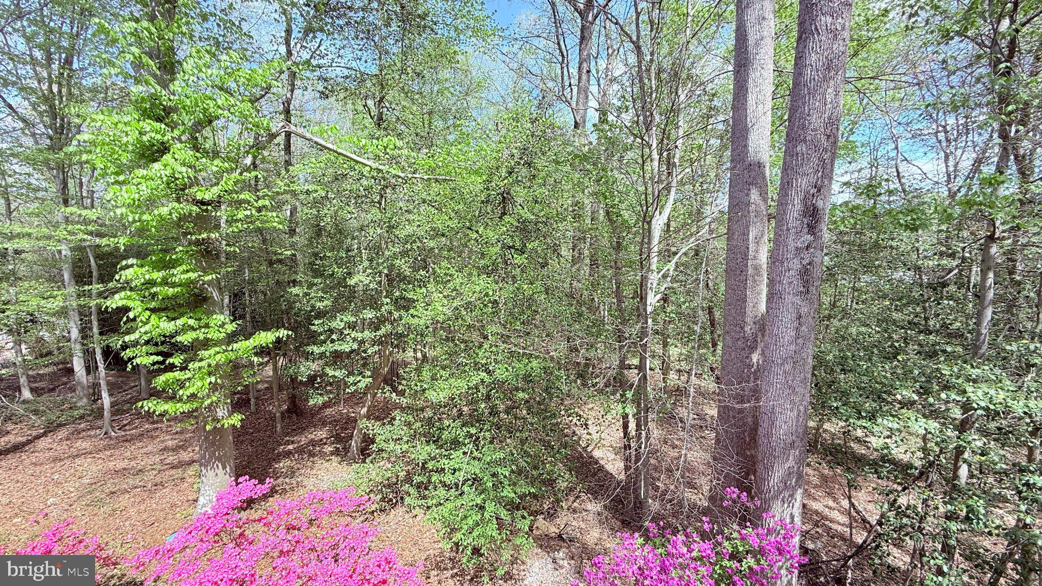 CLARKS RUN - Residential