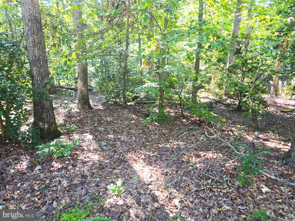 Photo of 12817 Abilene Trail, LUSBY, MD 20657 (MLS # MDCA2023176)
