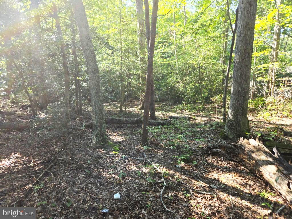 Photo of 12817 Abilene Trail, LUSBY, MD 20657 (MLS # MDCA2023176)