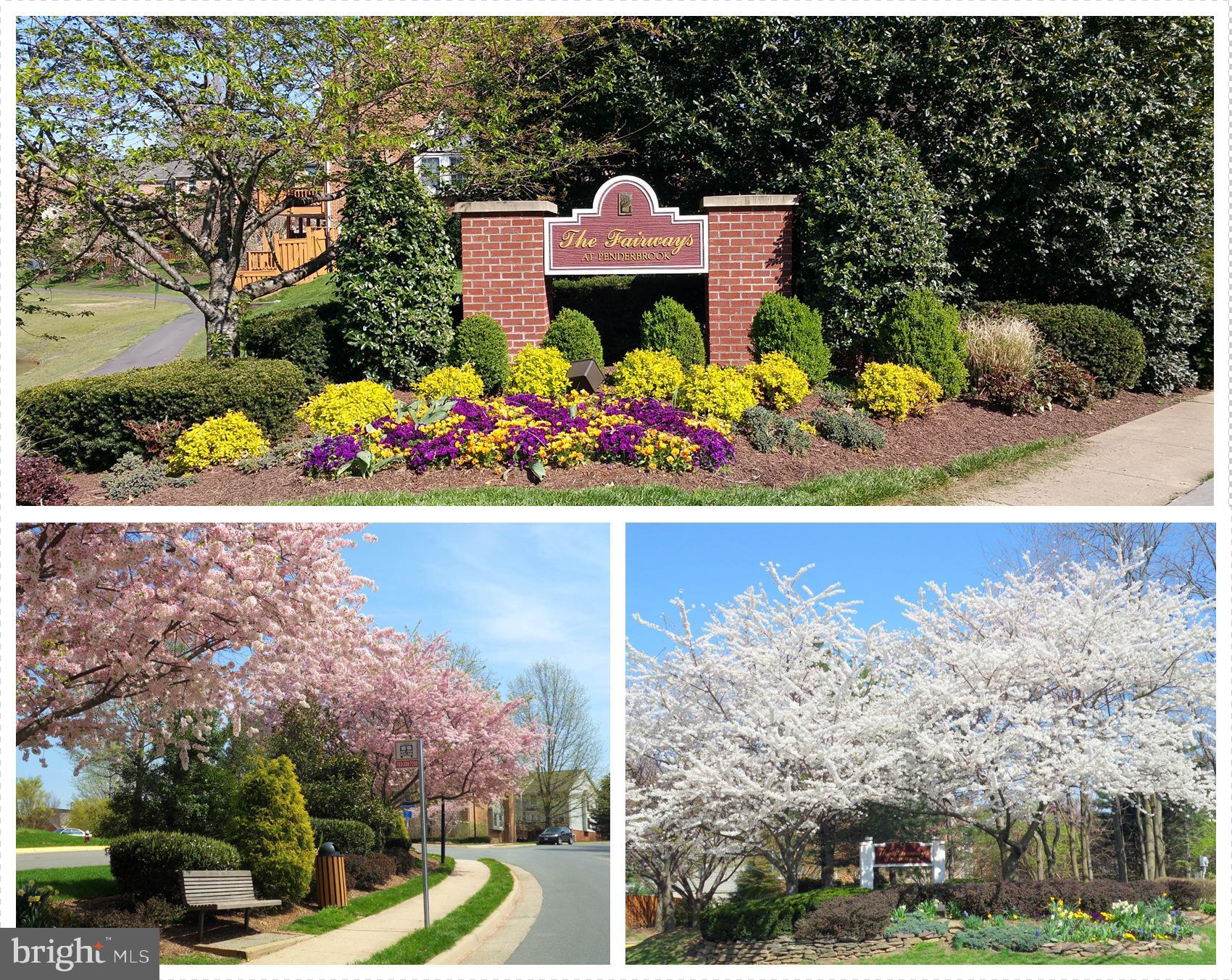 PENDERBROOK - Residential Lease