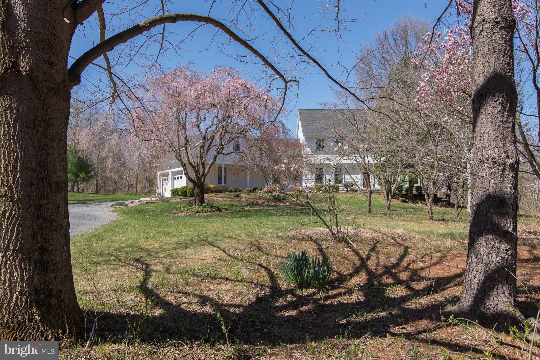 LOUTHAN SPRINGS - Farm