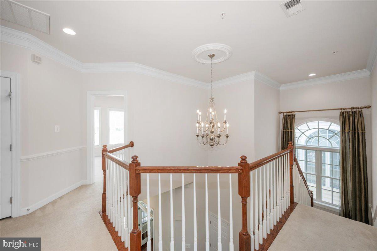 POTOMAC EDGE - Residential