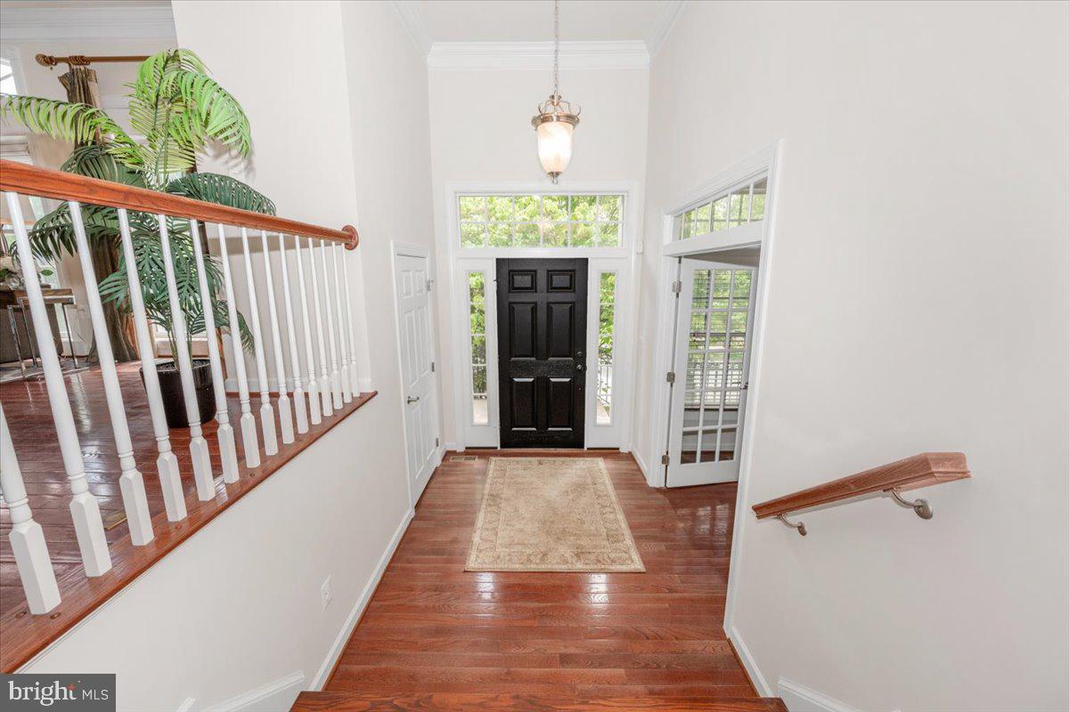 POTOMAC EDGE - Residential
