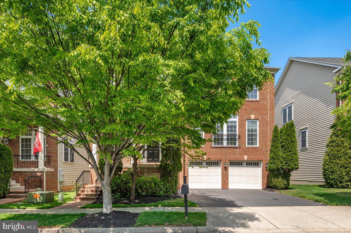 POTOMAC EDGE - Residential