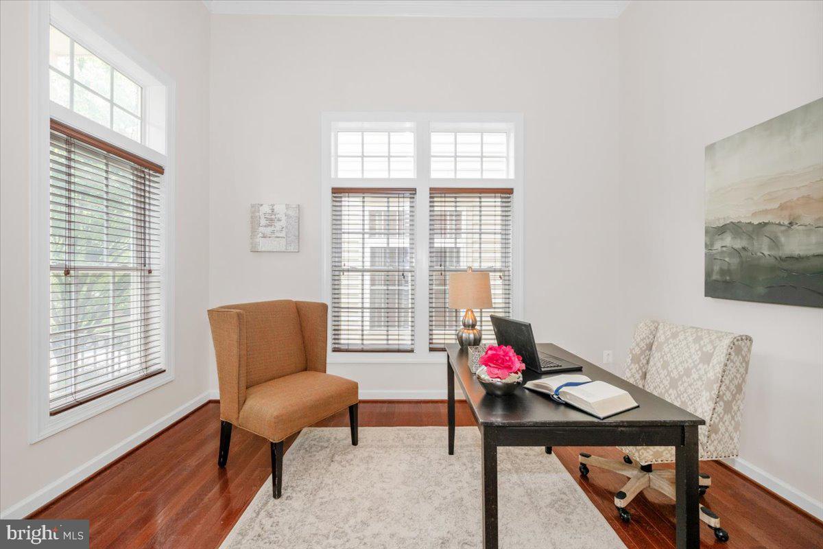 POTOMAC EDGE - Residential