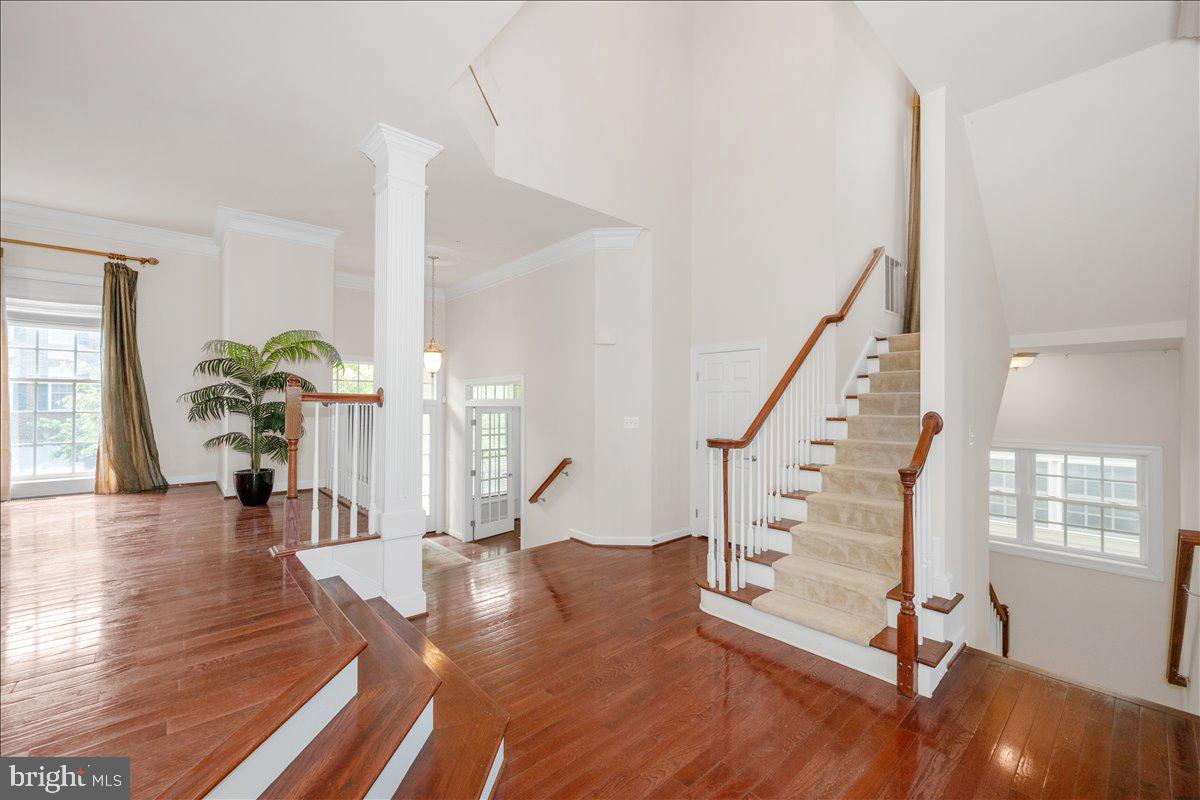POTOMAC EDGE - Residential