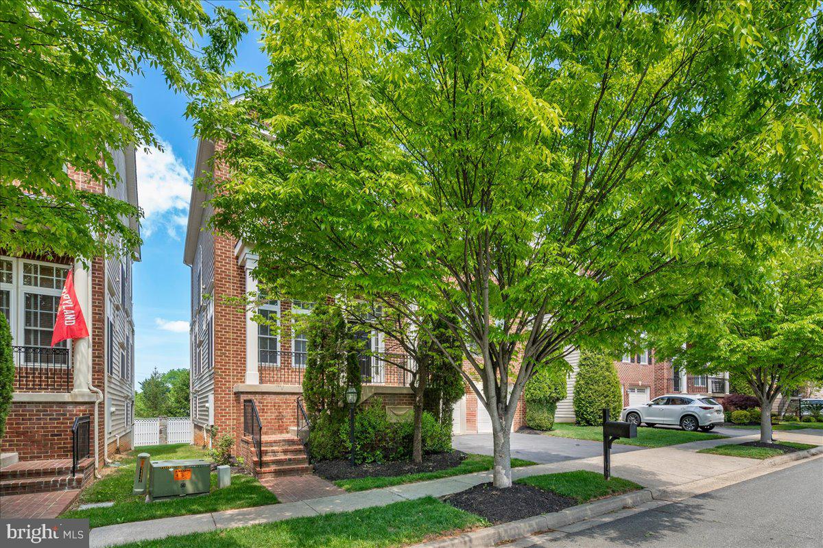 POTOMAC EDGE - Residential
