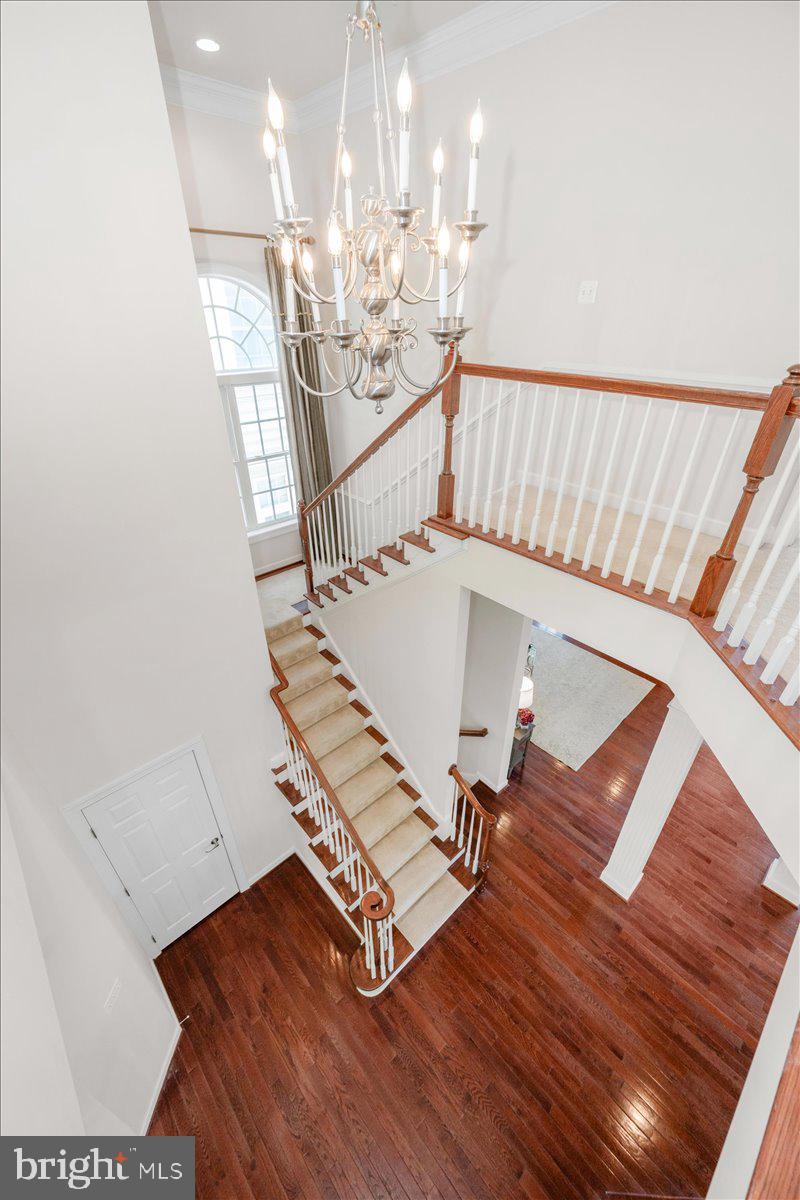 POTOMAC EDGE - Residential