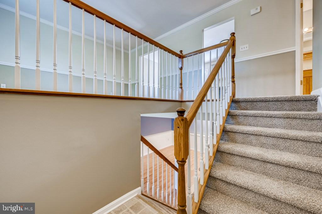 KINGS CHOICE - Residential