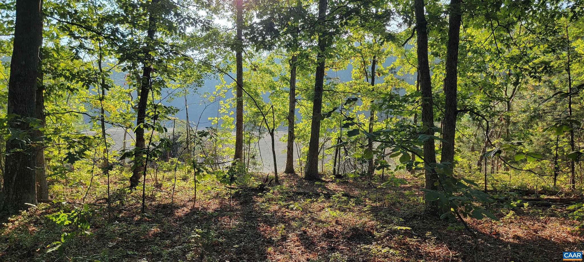 NONE AVAILABLE - Land