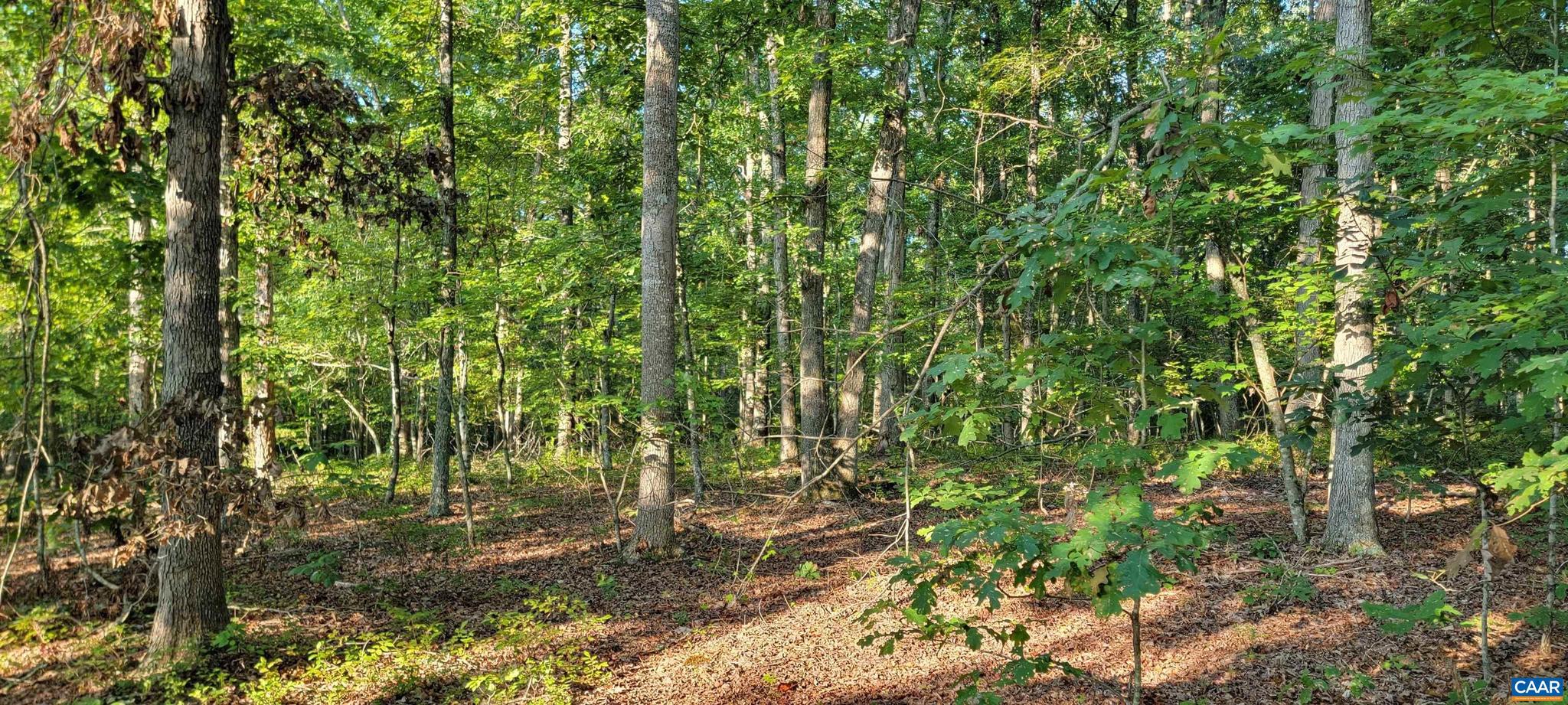 NONE AVAILABLE - Land