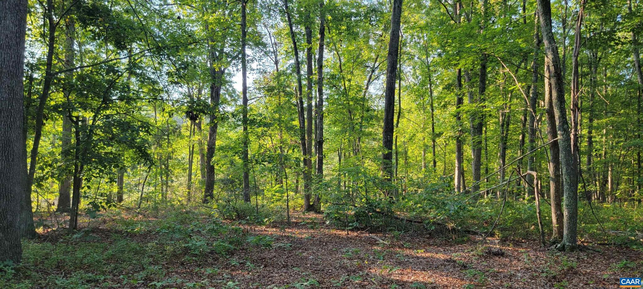 NONE AVAILABLE - Land