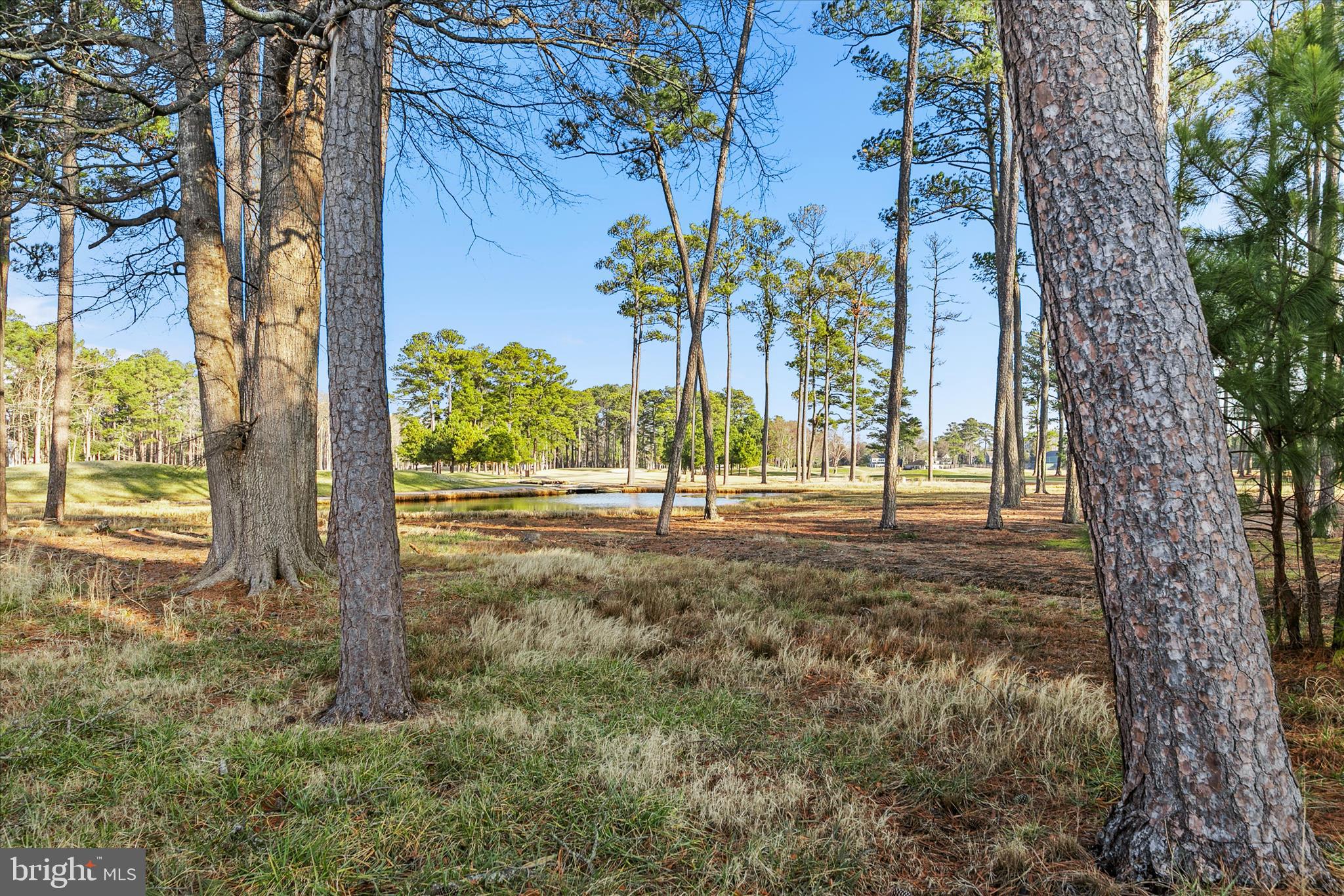 REHOBOTH BEACH YACHT AND CC - Residential