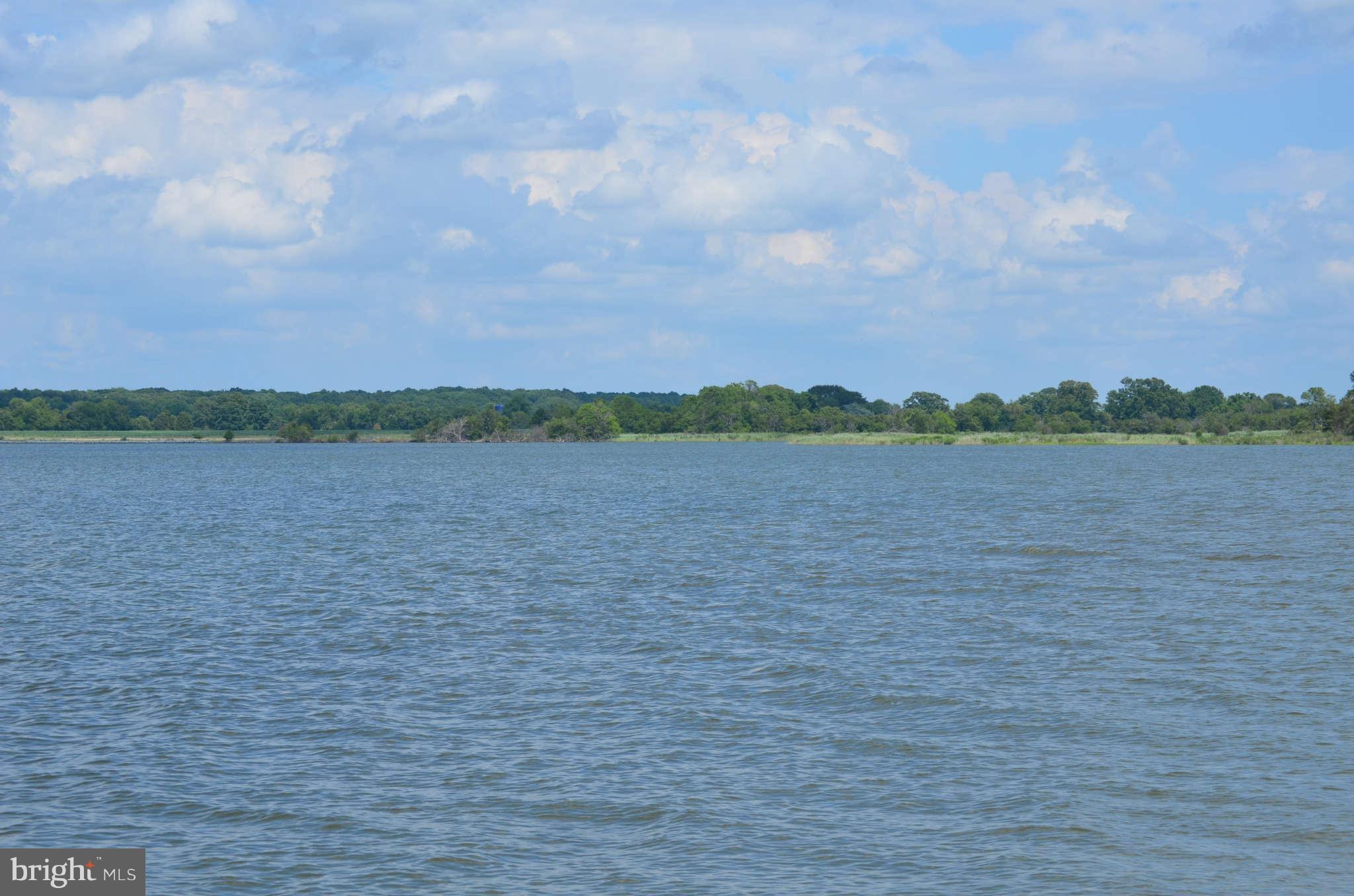 LONG POINT FARM - Farm