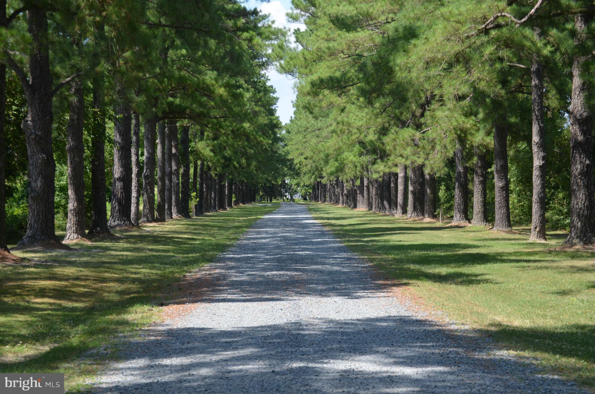 LONG POINT FARM - Farm