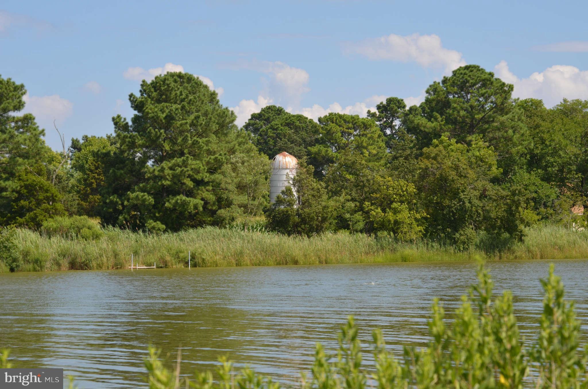 LONG POINT FARM - Farm