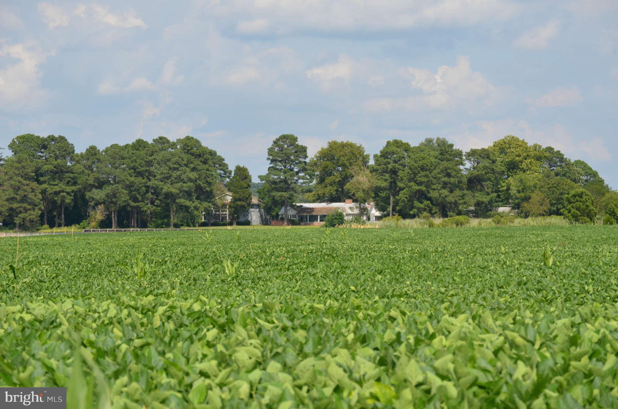 LONG POINT FARM - Farm