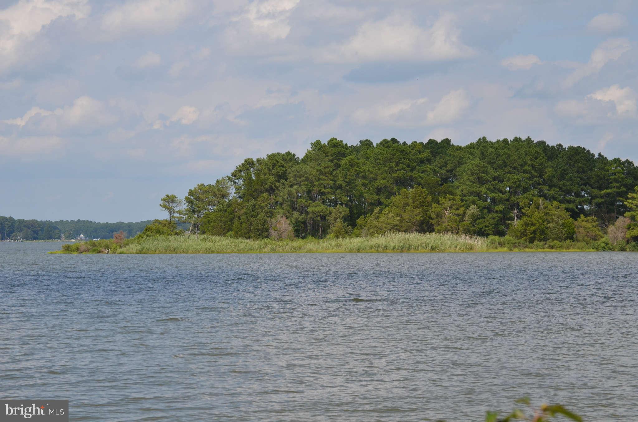 LONG POINT FARM - Farm