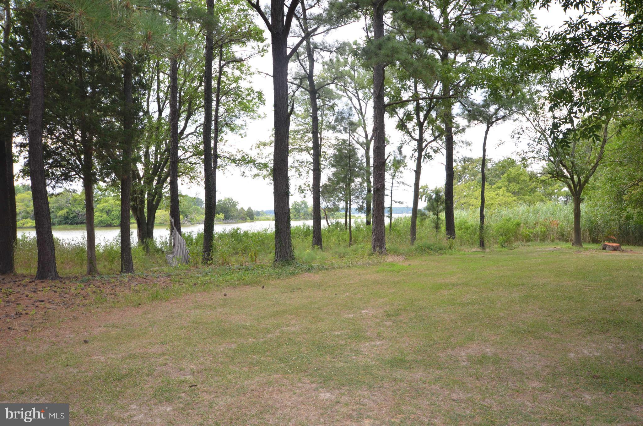 LONG POINT FARM - Farm