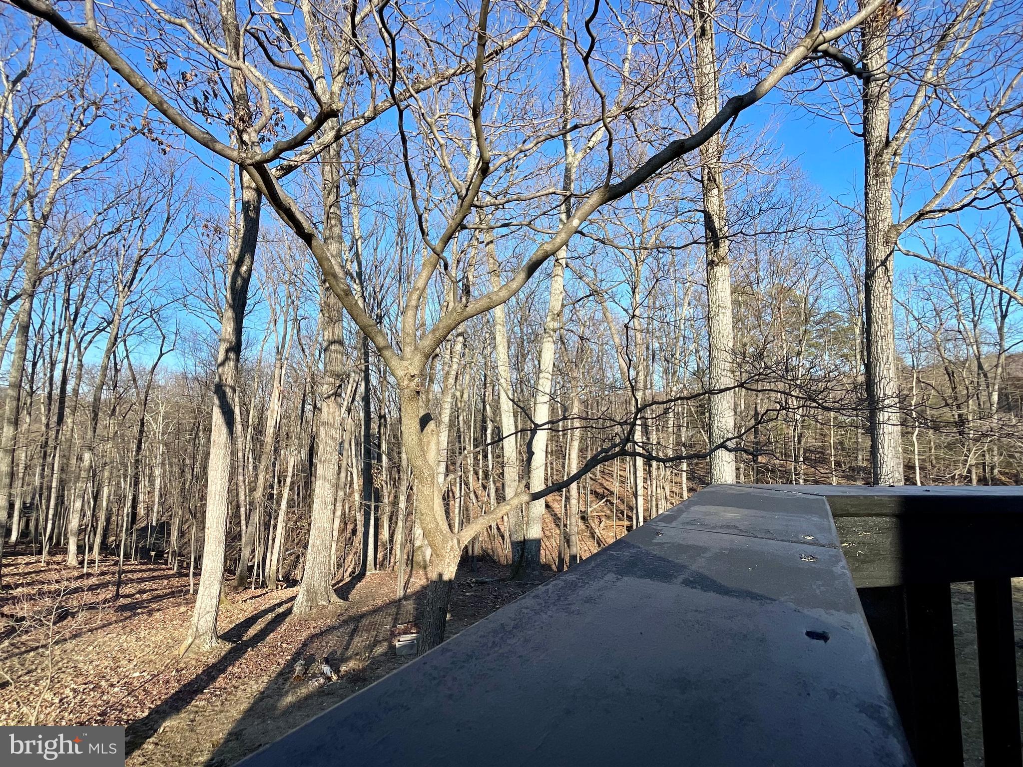 SHEN FARMS MT LAKE - Residential