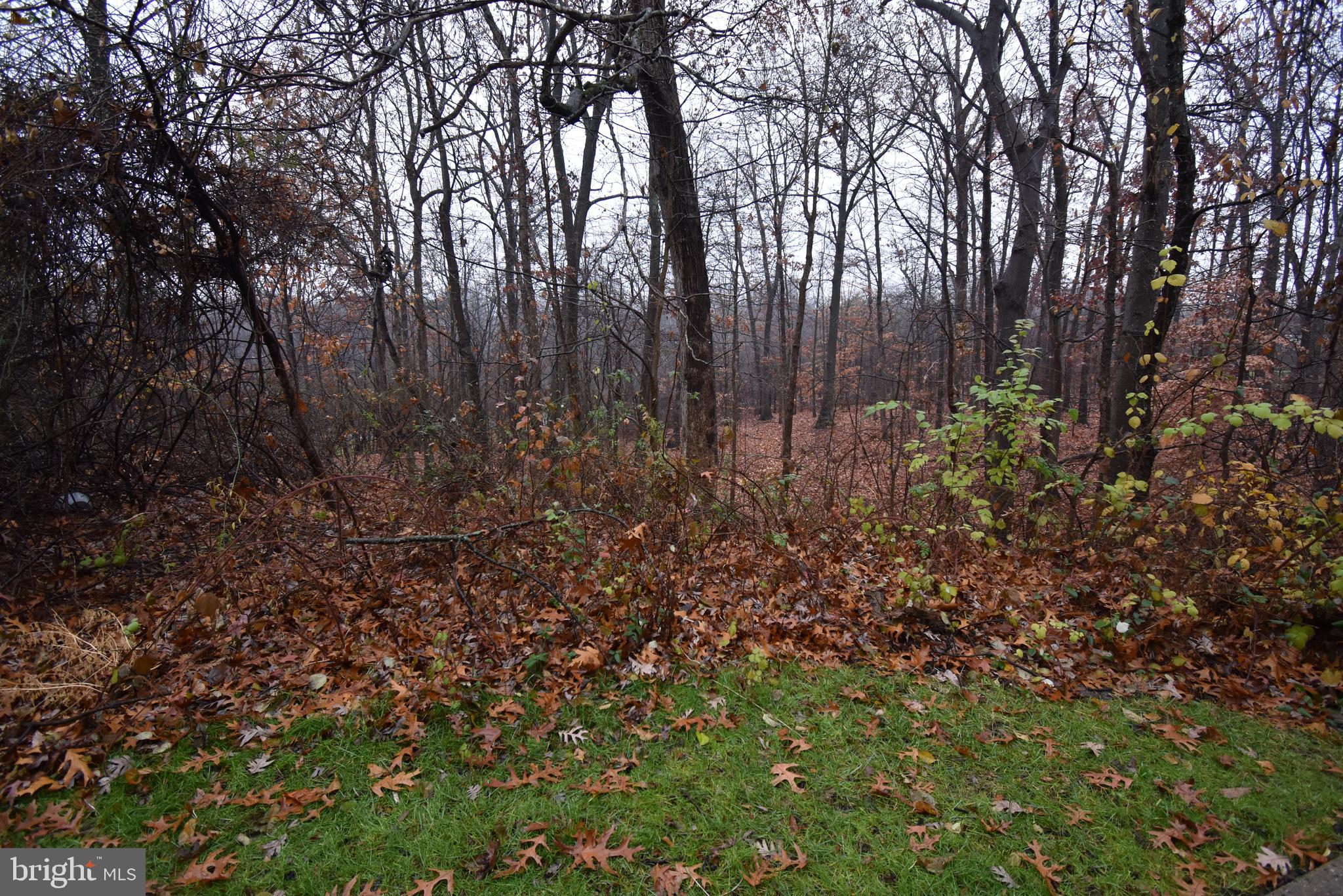 SOUTHFIELD AT WHITEMARSH - Residential