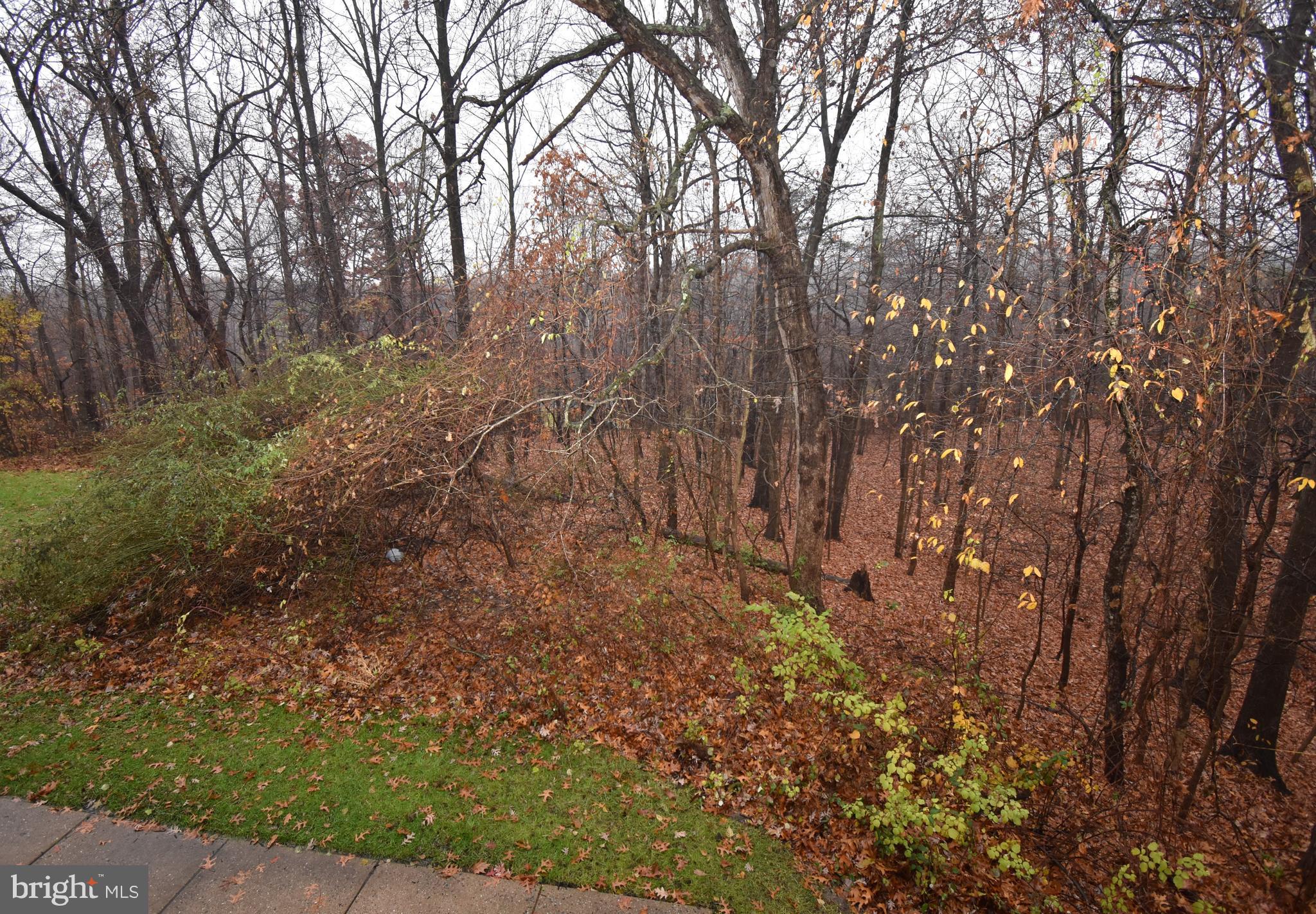 SOUTHFIELD AT WHITEMARSH - Residential