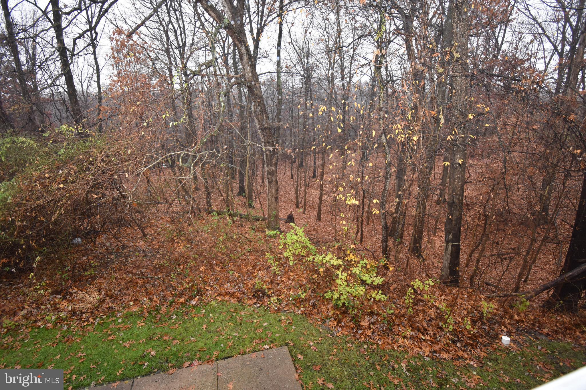 SOUTHFIELD AT WHITEMARSH - Residential