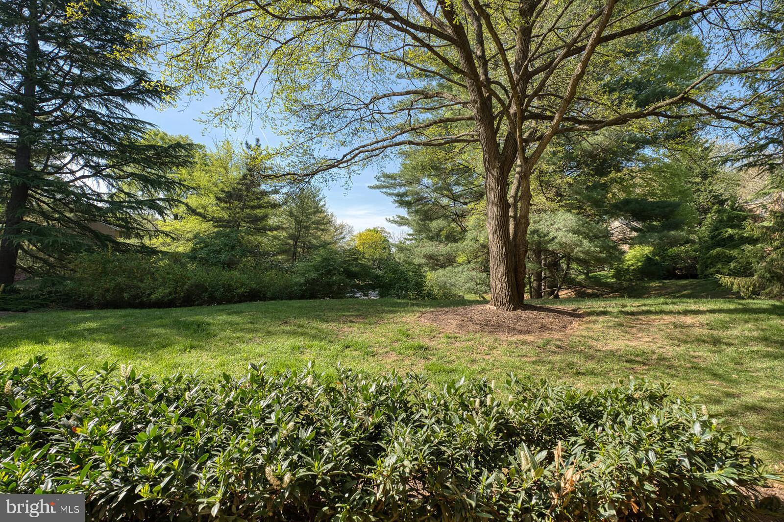 GEORGETOWN VILLAGE - Residential