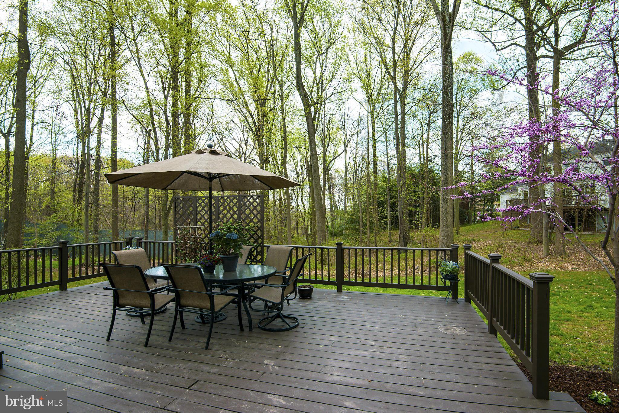 POTOMAC OUTSIDE - Residential