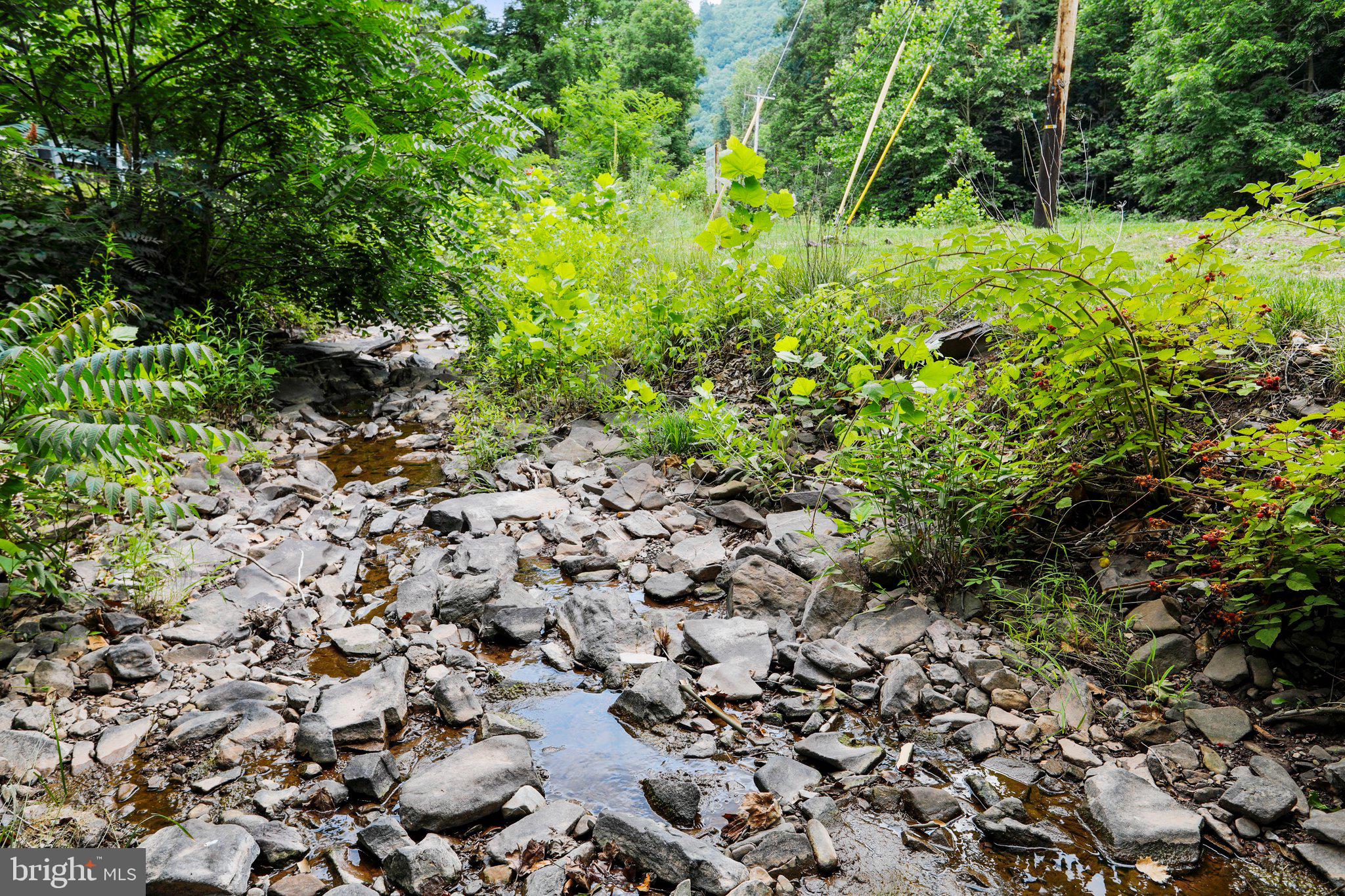 BLOOMERY - Residential