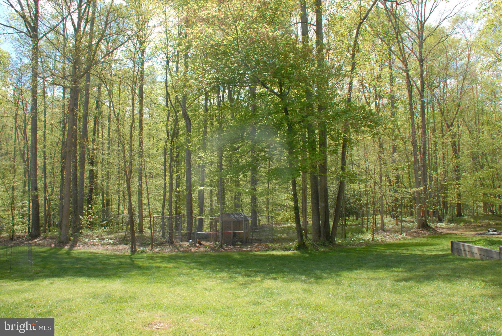 BENEDICT PLANTATION - Residential