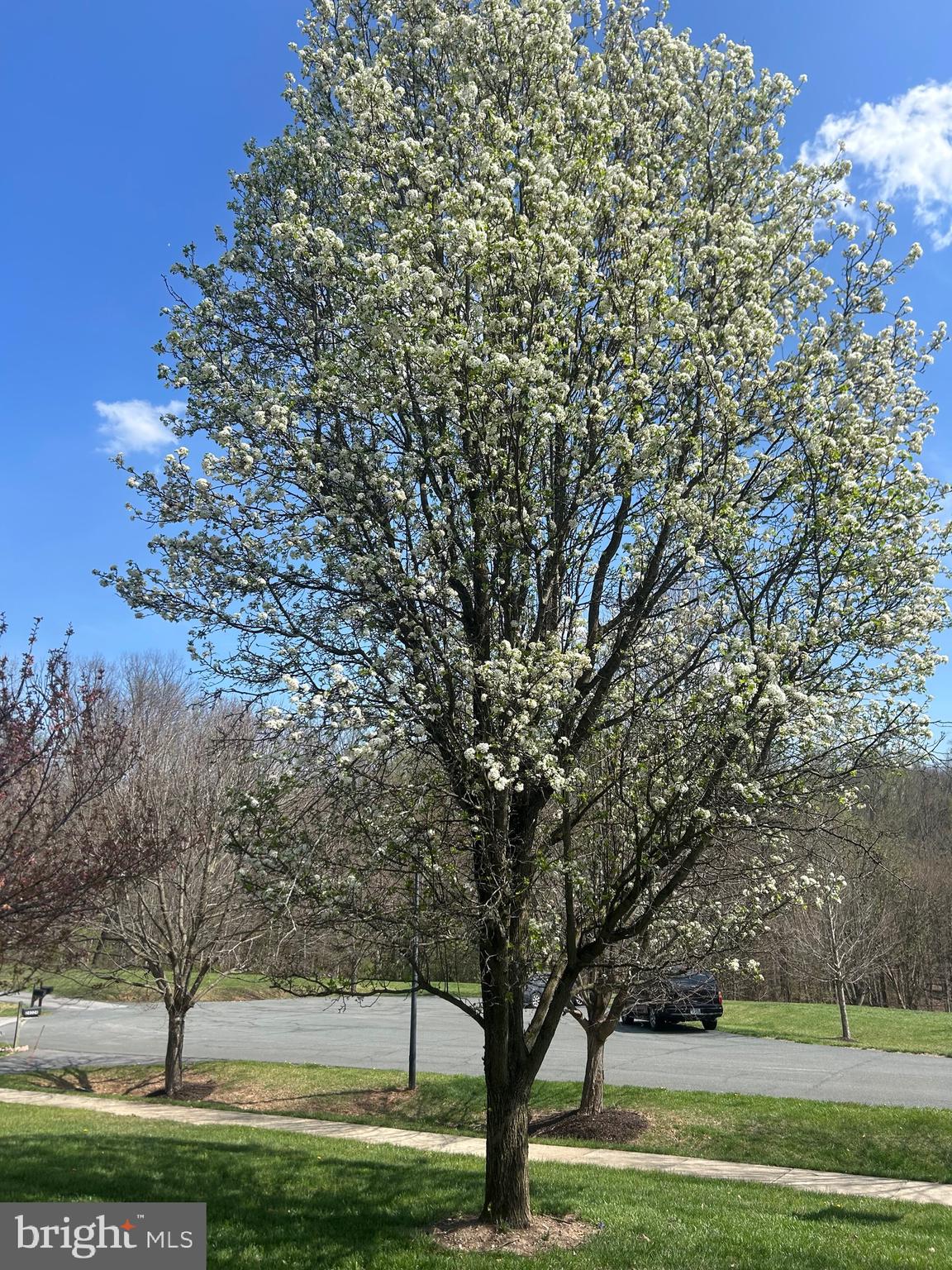 KINGS VALLEY MANOR - Residential