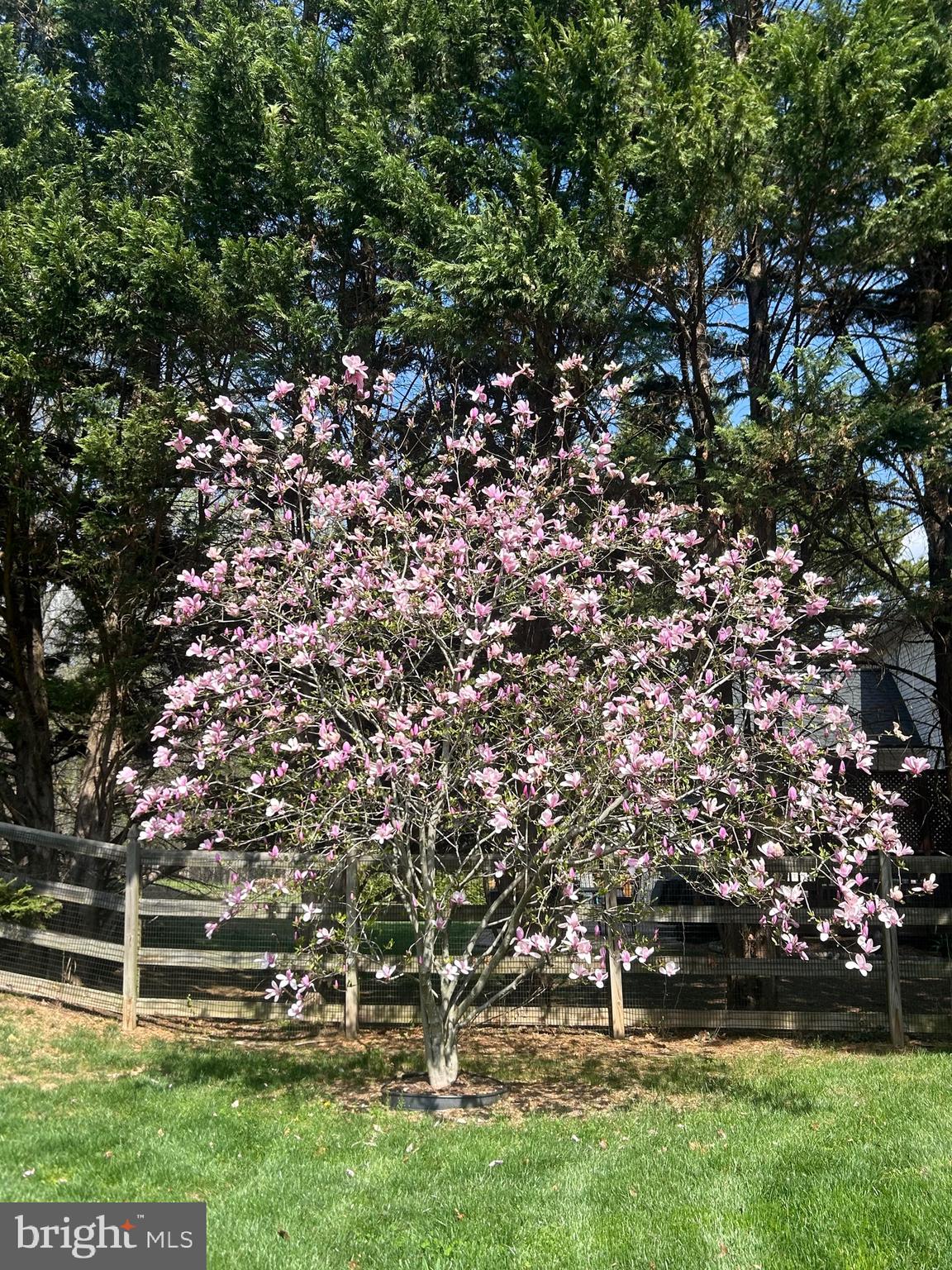 KINGS VALLEY MANOR - Residential